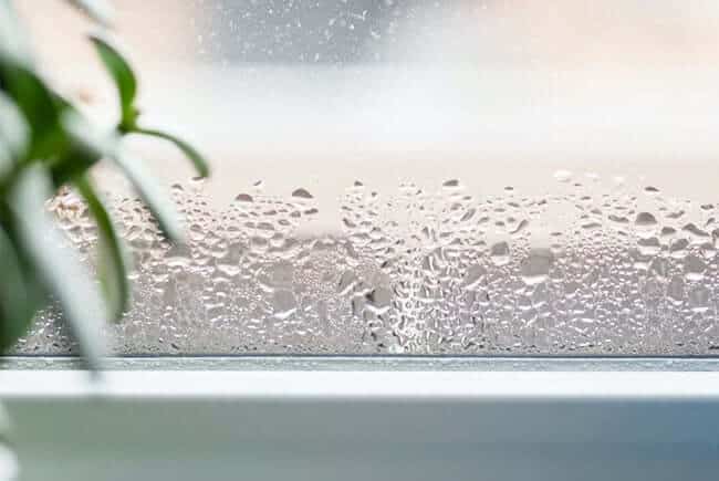 Top 3 Issues as a Result of High Indoor Humidity and Prevention Tips